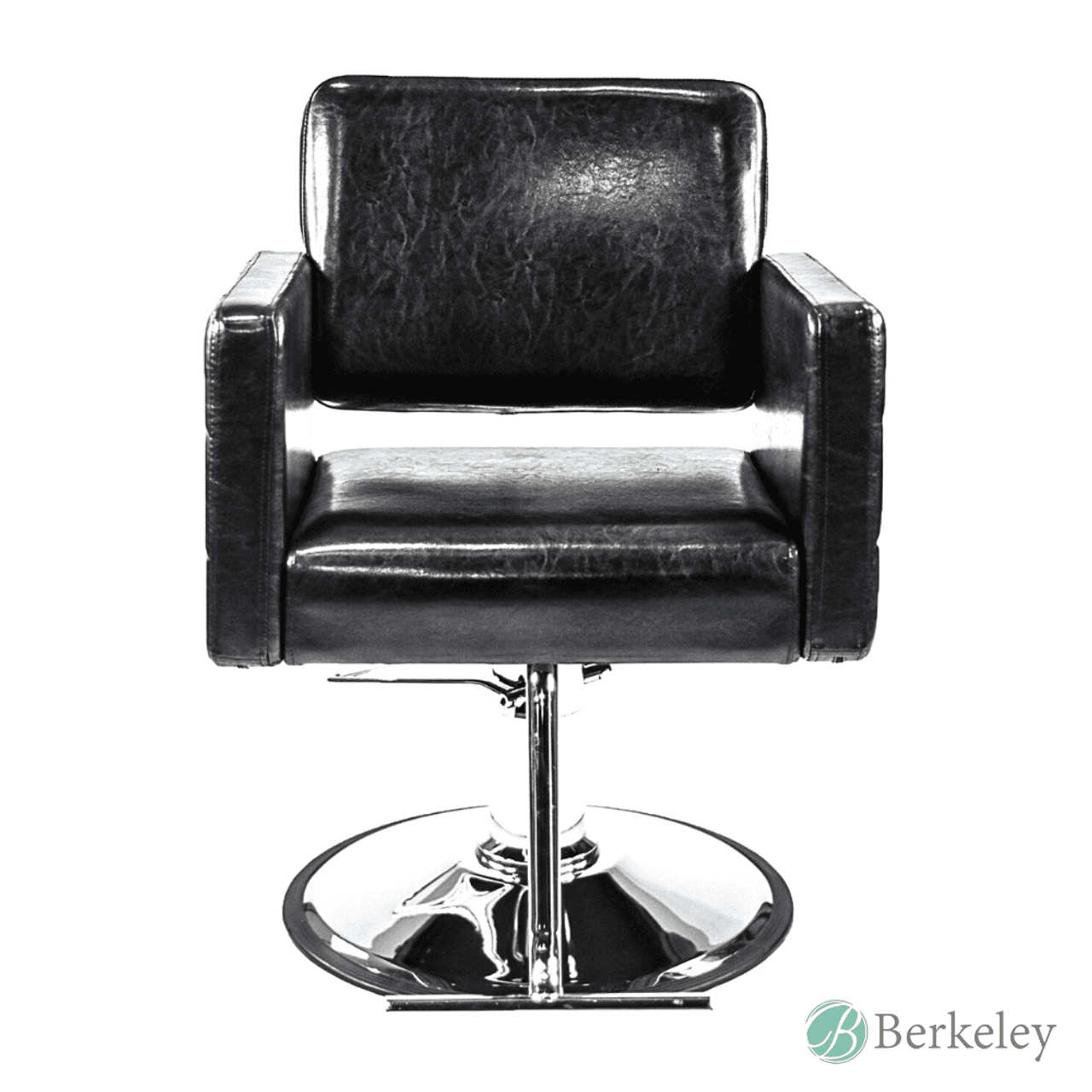 AYLA Styling Chair w/ A13 Pump by Berkeley