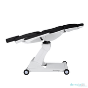 Modena Electric Spa Treatment Table / 4 Motors