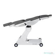 Modena Electric Spa Treatment Table / 4 Motors