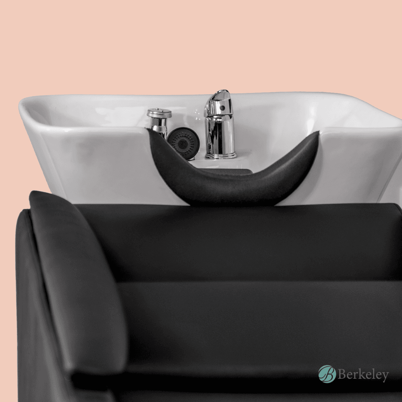 Bergamo Backwash Unit w/ Faucet Kit