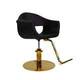 Luxury Salon Styling Chair with Gold Pump for Salons