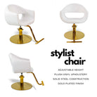 MILLA STYLING CHAIR - A59 GOLD PUMP - Modern Barber Supply